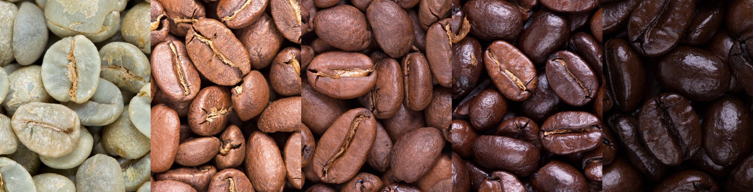 Origen del cafe