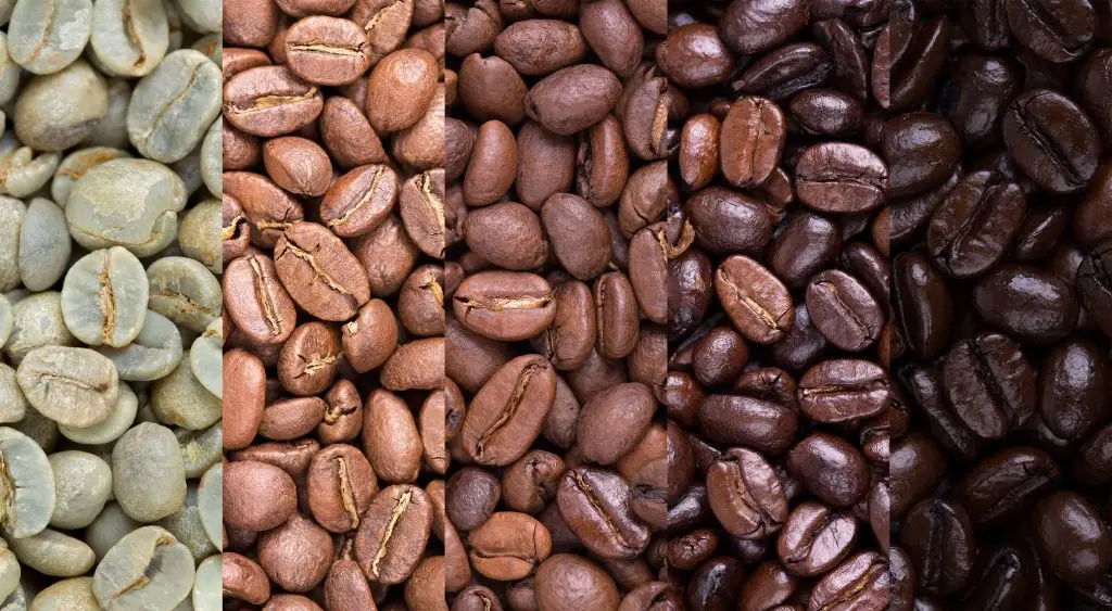Cafe Organico de Veracruz
