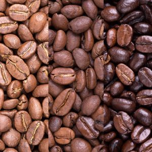 Cafe Organico de Veracruz